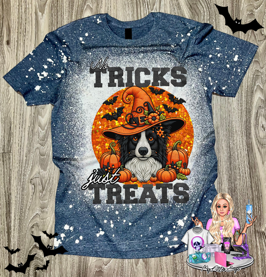 Border Collie 'No Tricks Just Treats' (T-Shirt)