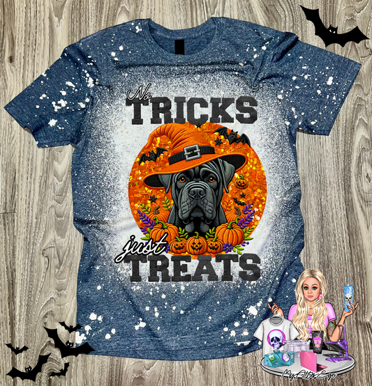 Cane Corso 'No Tricks Just Treats' (T-Shirt)