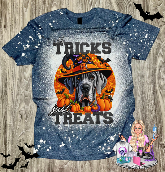 Great Dane 'No Tricks Just Treats' (T-Shirt)